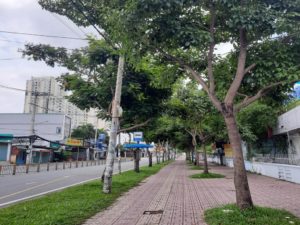 Les rues de HCMC sont désertes