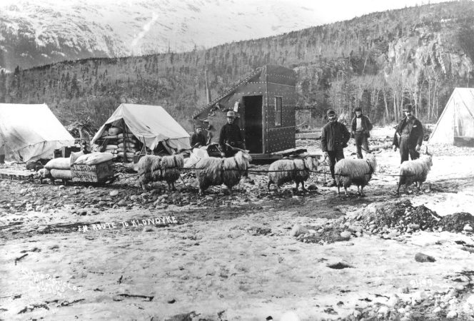 Campement de chercheurs d'or en Alaska